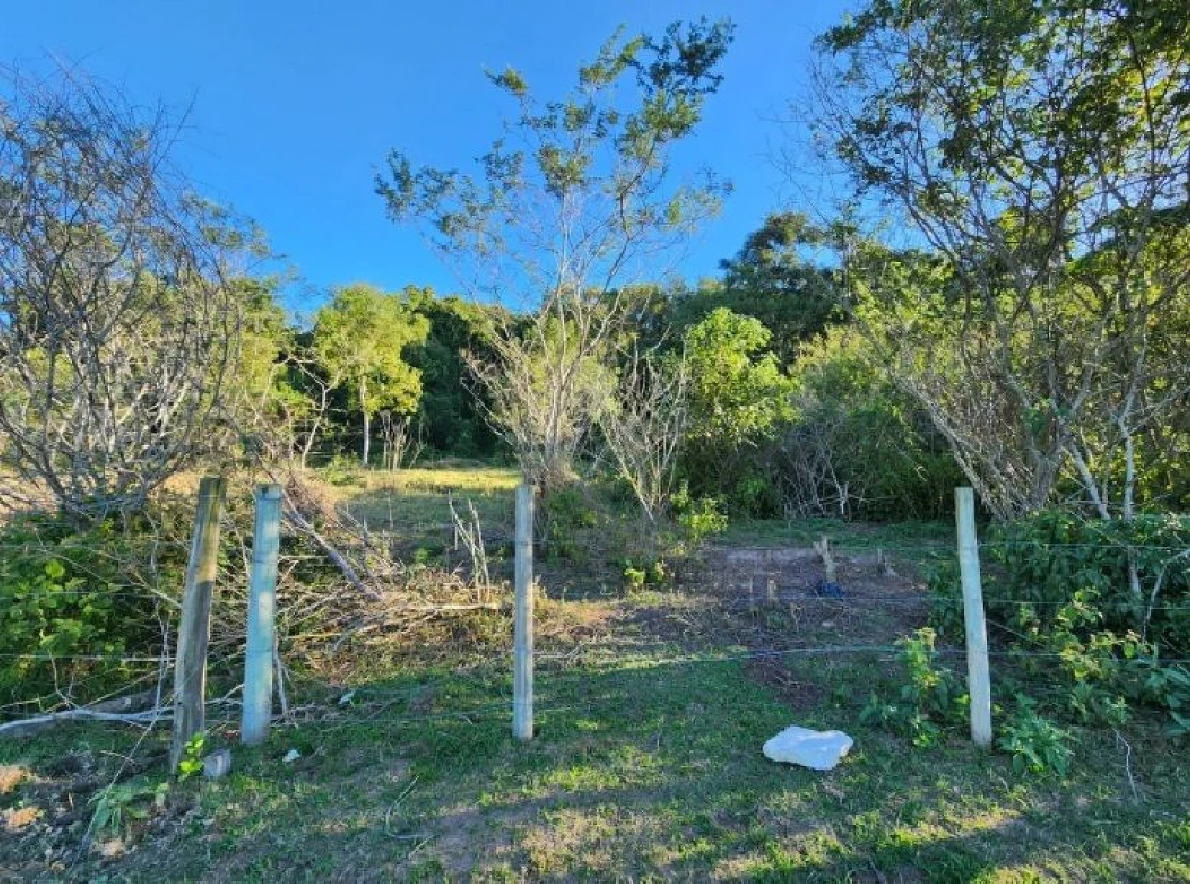 Terreno  296m², Escrituta - Forquilhas - Foto 8