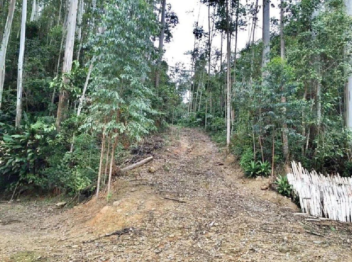 Sítio 5 Quartos, 15 Hectares, Açude - São Bonifácio - Foto 12