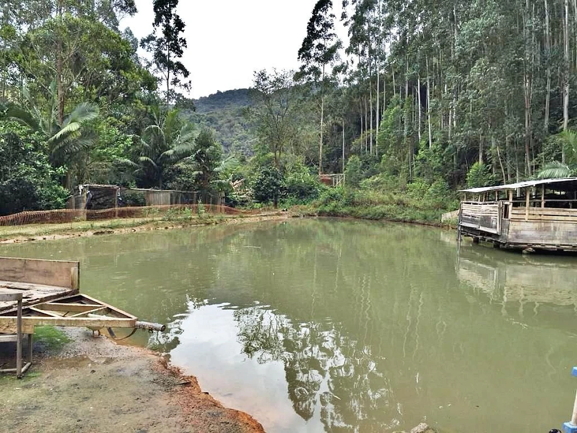 Sítio 5 Quartos, 15 Hectares, Açude - São Bonifácio - Foto 14