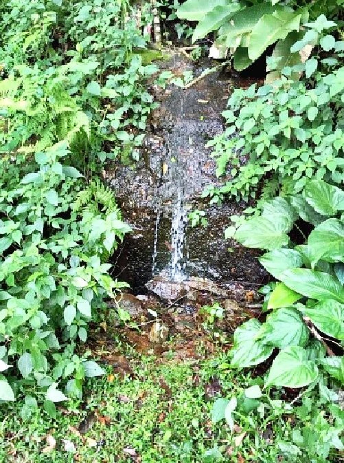 Chácara em Rio Broecker, São Bonifácio