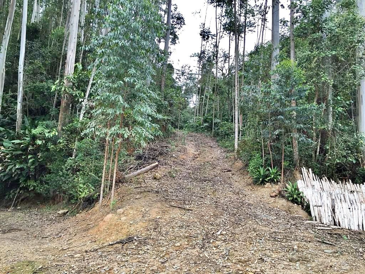 Sítio 5 Quartos, 15 Hectares, Açude - São Bonifácio - Foto 7