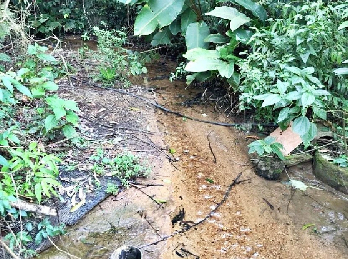 Sítio 5 Quartos, 15 Hectares, Açude - São Bonifácio - Foto 8