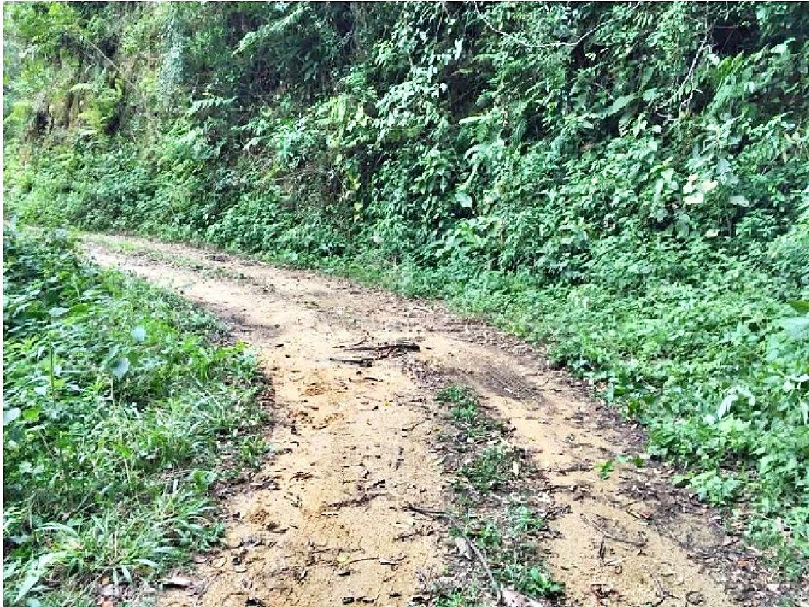 Sítio 5 Quartos, 15 Hectares, Açude - São Bonifácio - Foto 9