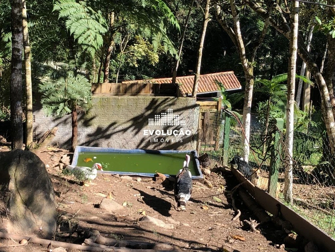 Sítio 26.000M² - Vargem do Braço, Santo Amaro da Imperatriz - Foto 15