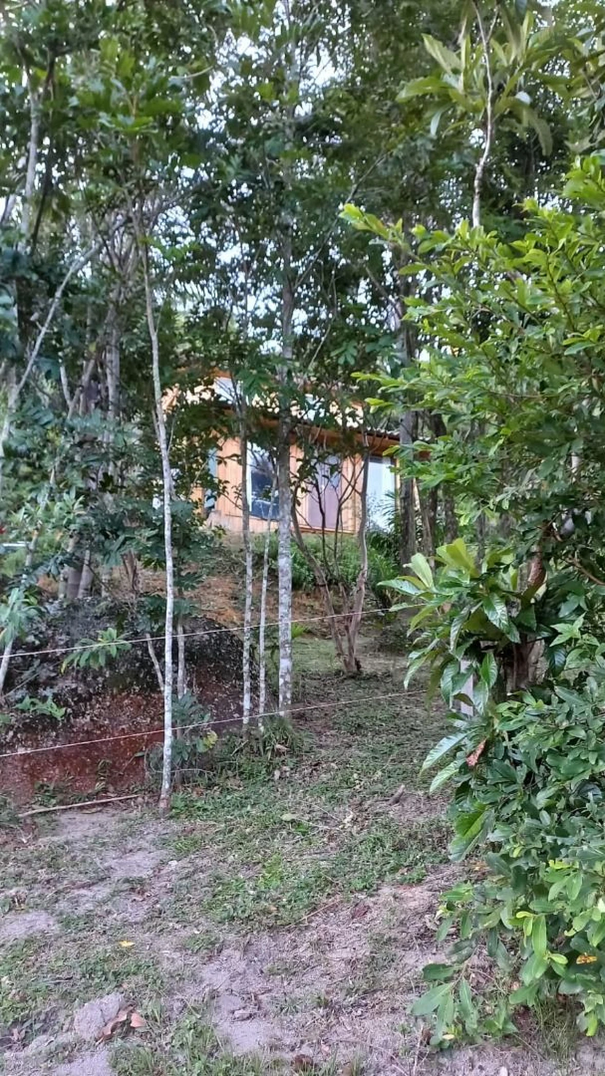 Sítio a Venda - São Bonifácio/SC - Foto 7
