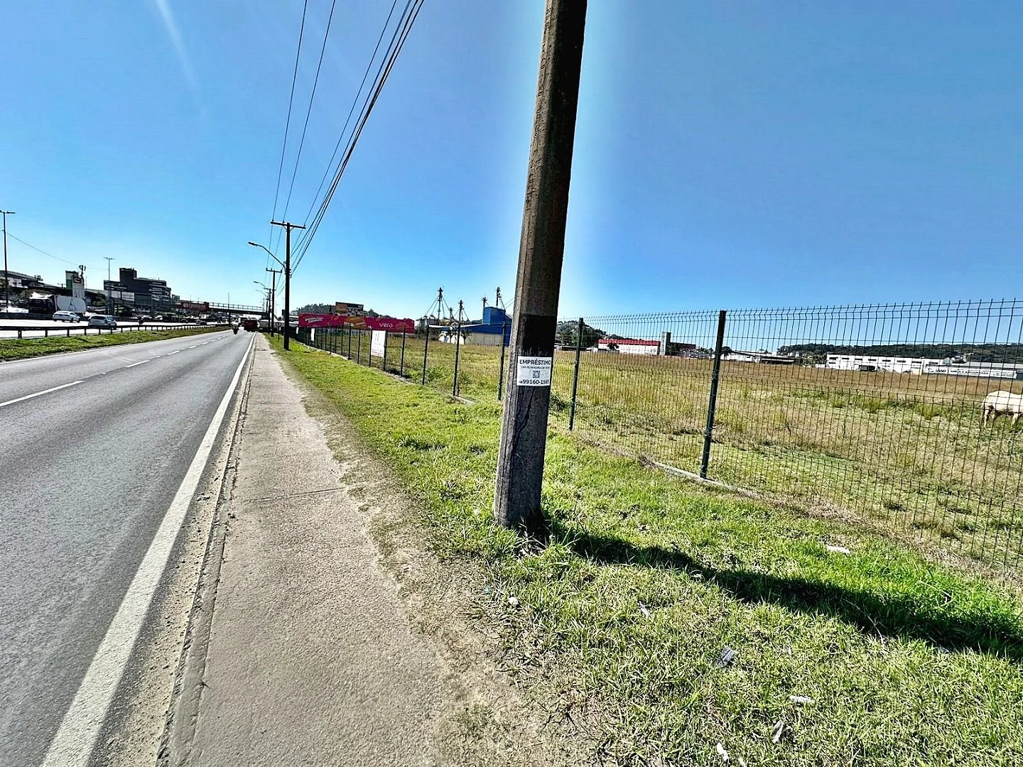Terreno Industrial e Comercial, 36.000,00 M², Frente para Br 101, Área Industrial de São José/SC; - Foto 18