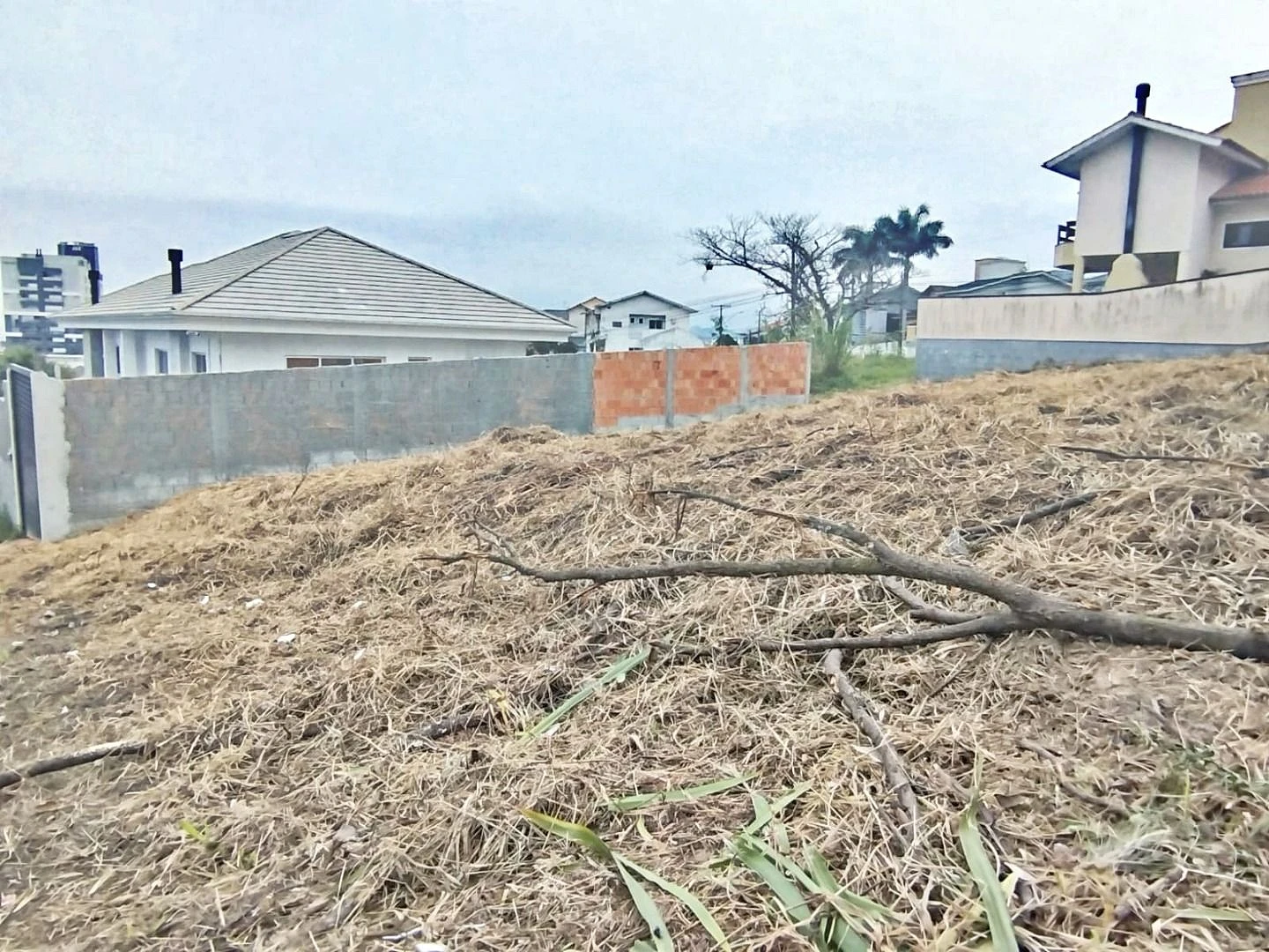 Terreno em Cidade Universitária Pedra Branca, Palhoça