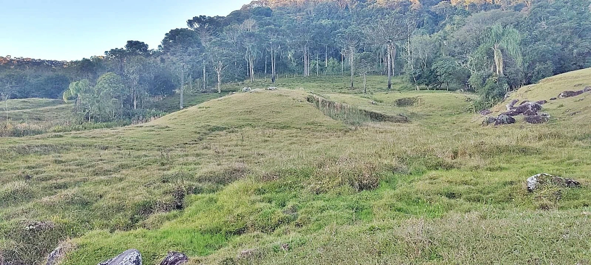 Terreno Rural 11 Hectares - Águas Mornas - Foto 11