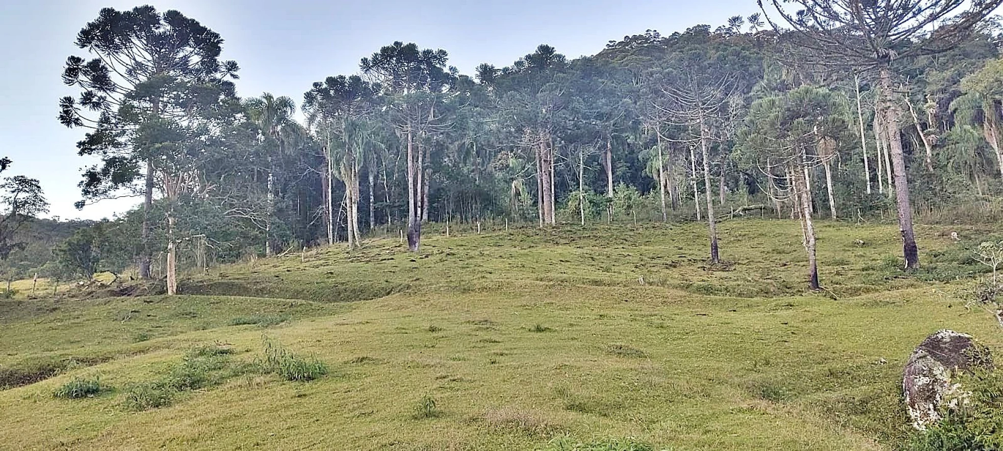 Terreno Rural 11 Hectares - Águas Mornas - Foto 12