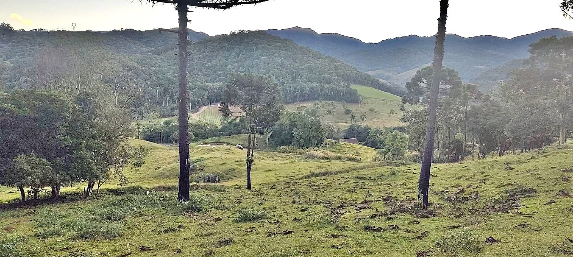 Terreno Rural 11 Hectares - Águas Mornas - Foto 19