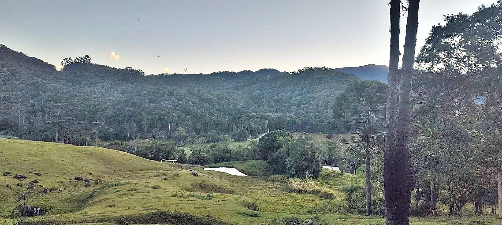 Terreno em Rio Dos Cedros, Águas Mornas