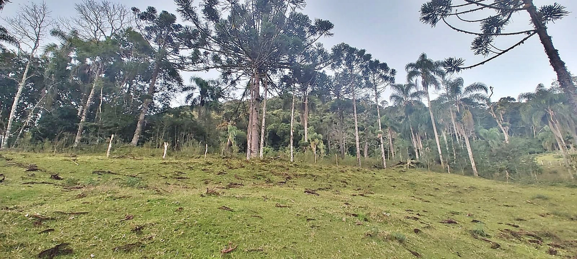 Terreno em Rio Dos Cedros, Águas Mornas