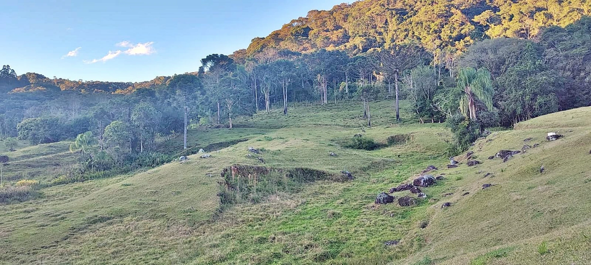 Terreno em Rio Dos Cedros, Águas Mornas