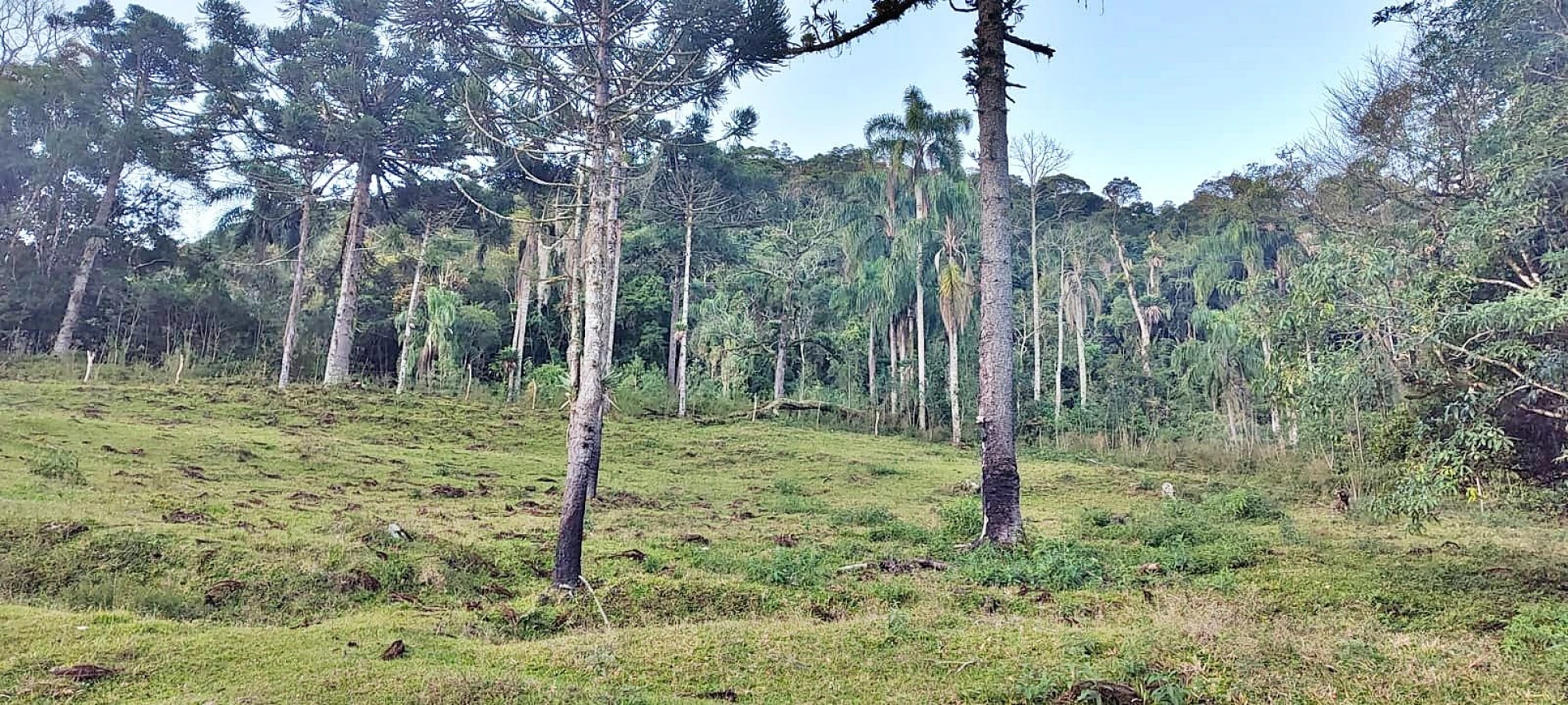 Terreno em Rio Dos Cedros, Águas Mornas
