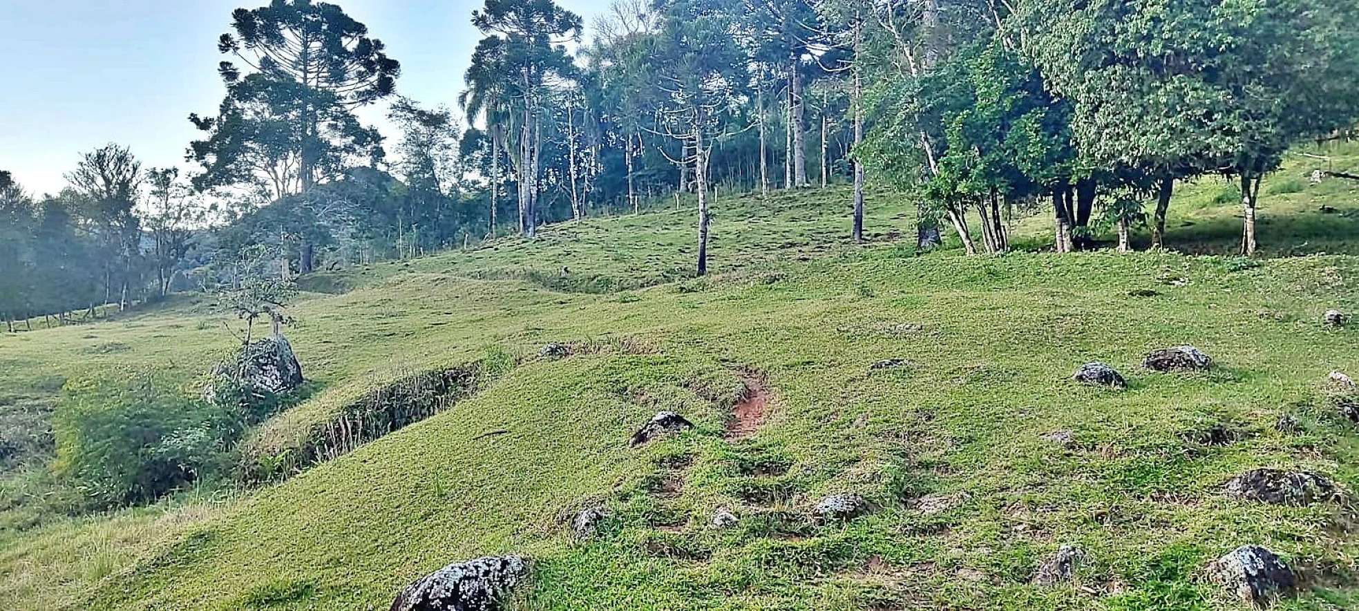 Terreno Rural 11 Hectares - Águas Mornas - Foto 6