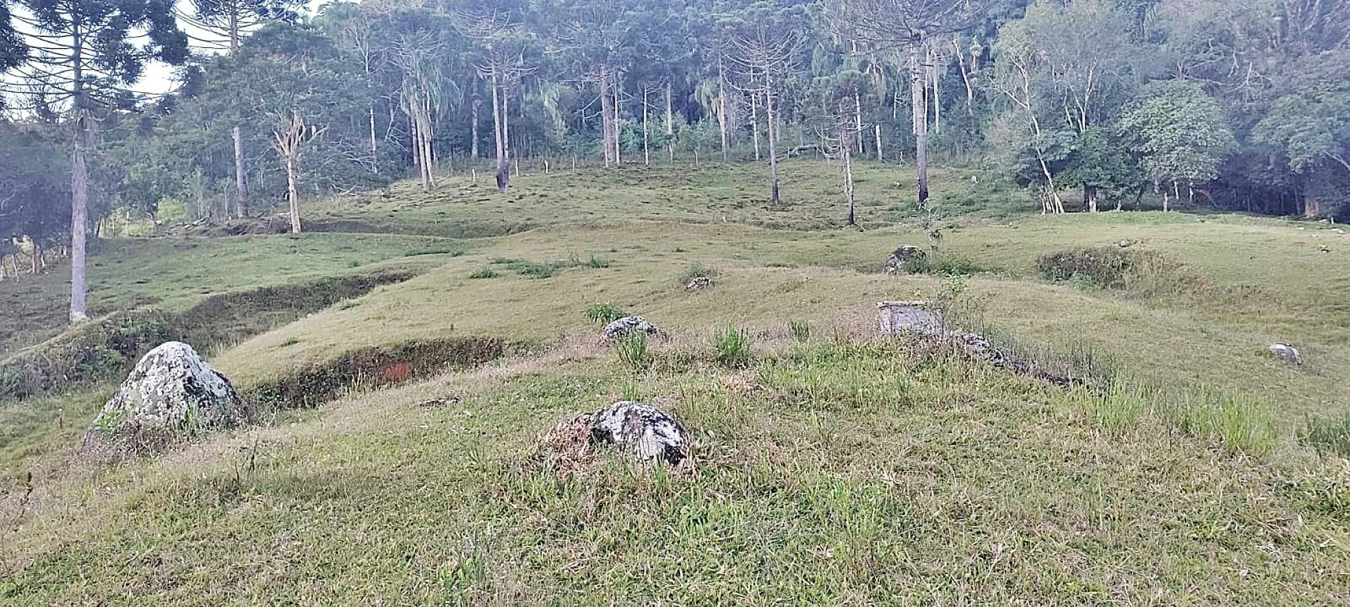 Terreno Rural 11 Hectares - Águas Mornas - Foto 7