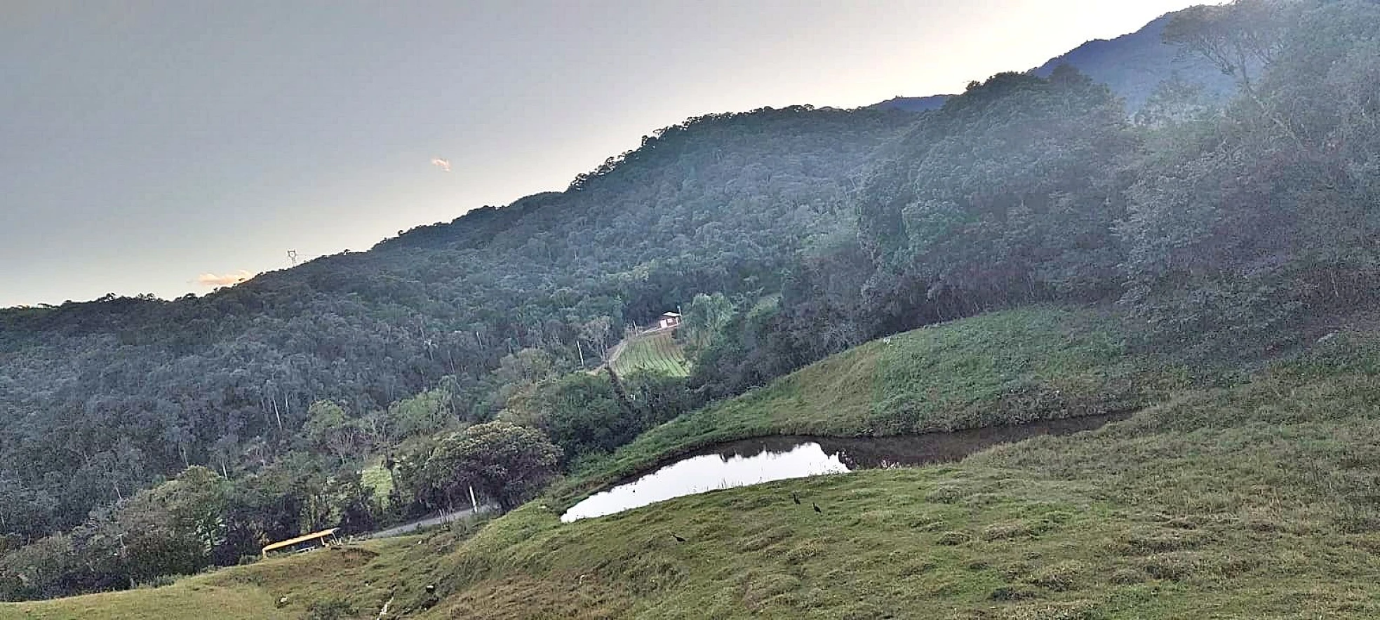 Terreno Rural 11 Hectares - Águas Mornas - Foto 8