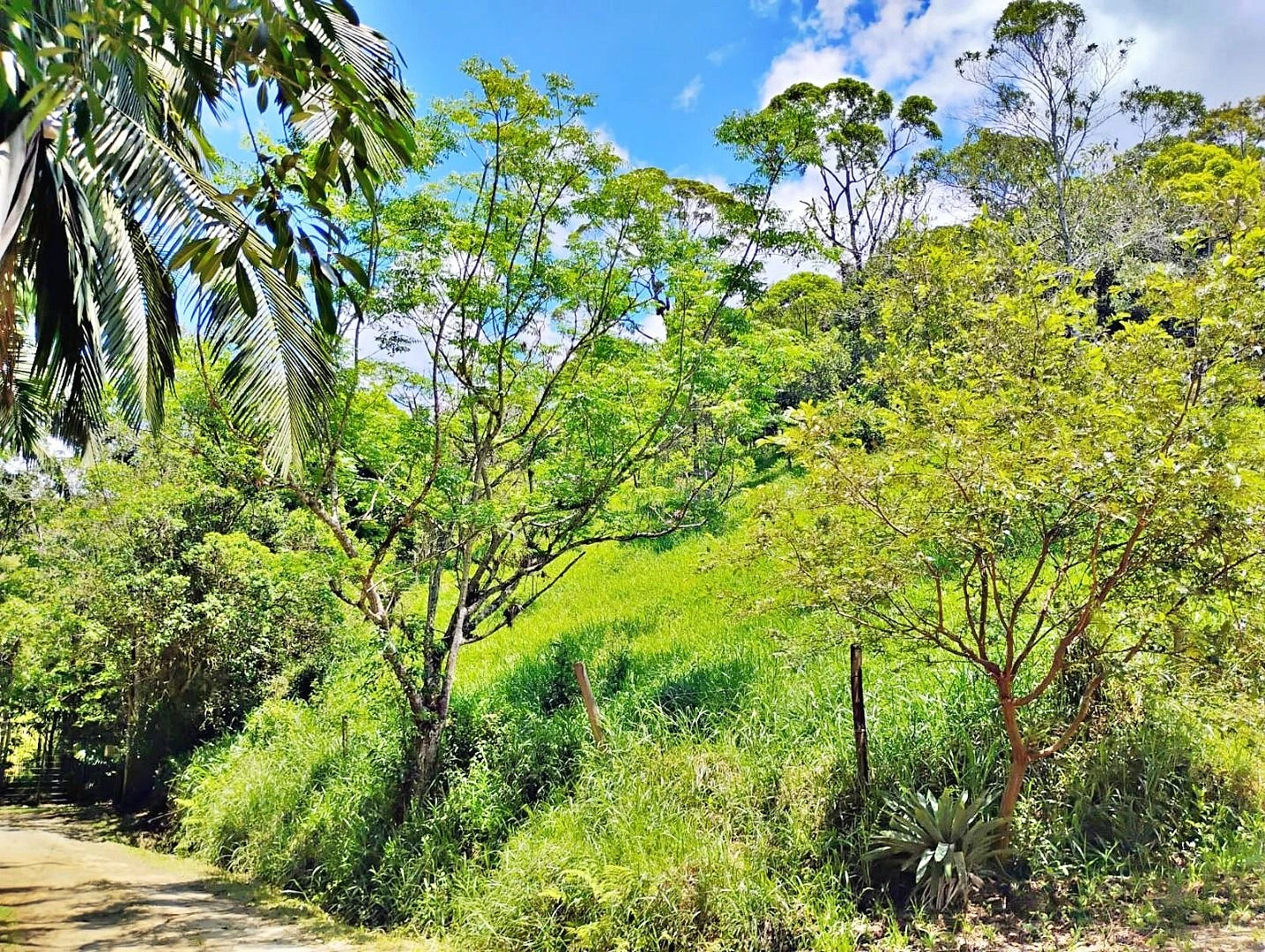 Terreno em Varginha, Santo Amaro da Imperatriz