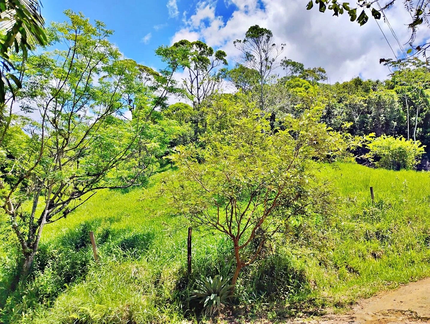 Terreno em Varginha, Santo Amaro da Imperatriz