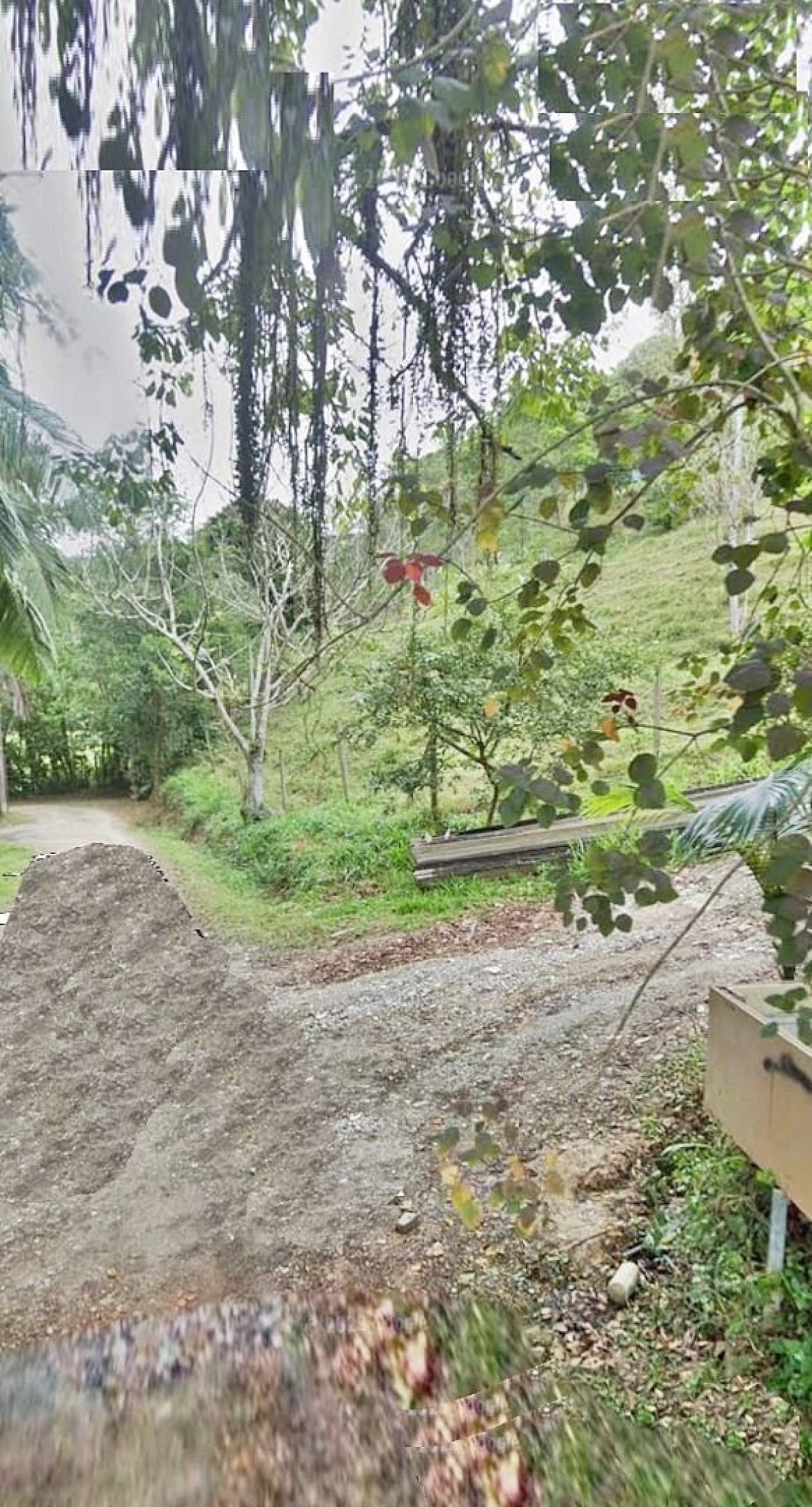 Terreno em Varginha, Santo Amaro da Imperatriz