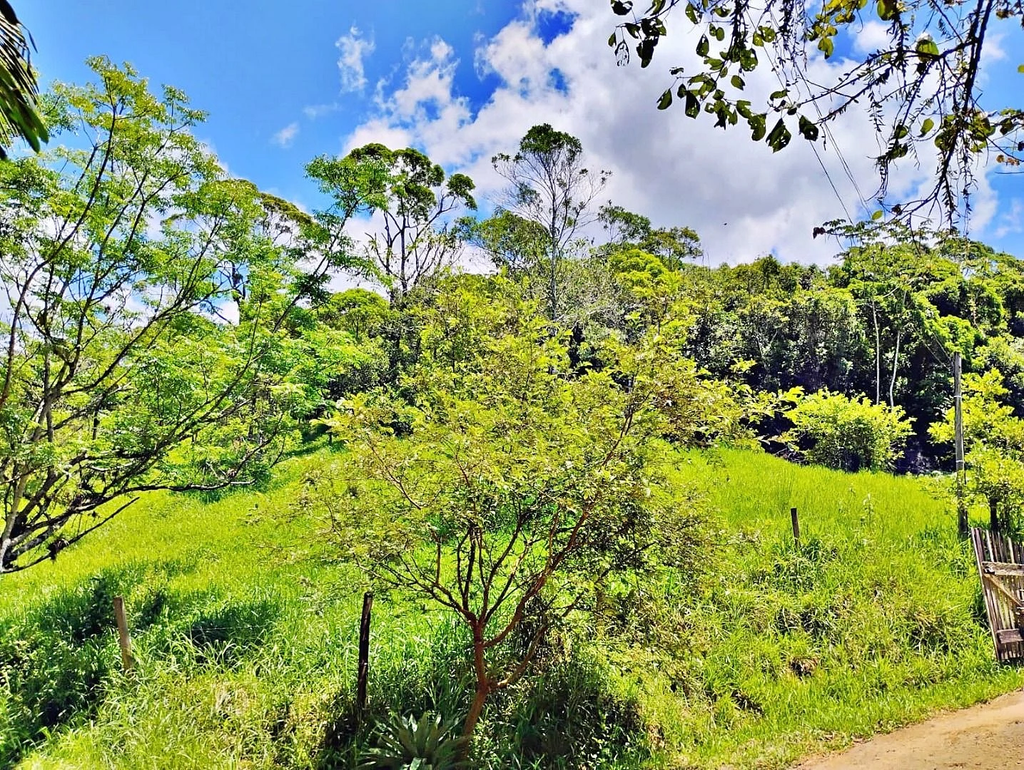 Terreno com 600 m² - Santo Amaro Imperatriz - Foto 6
