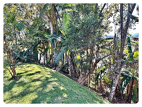 Chácara 2 Quartos, Piscina, Terreno - Águas Mornas - Foto 6