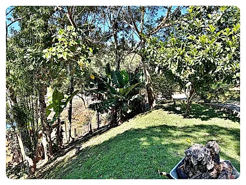 Chácara 2 Quartos, Piscina, Terreno - Águas Mornas - Foto 9