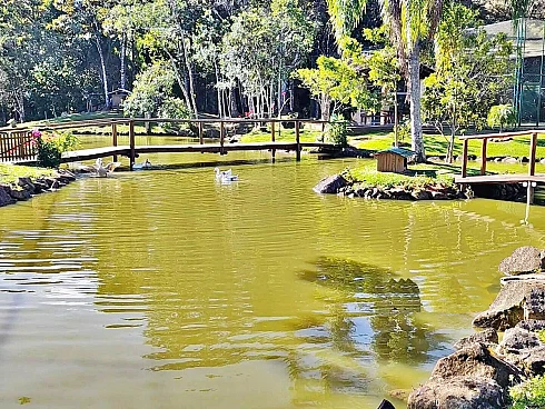 Terreno à Venda, 1.201,77 m² - Santo Amaro da Imperatriz/SC - Foto 12