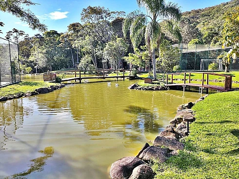 Terreno à Venda, 1.201,77 m² - Santo Amaro da Imperatriz/SC - Foto 7