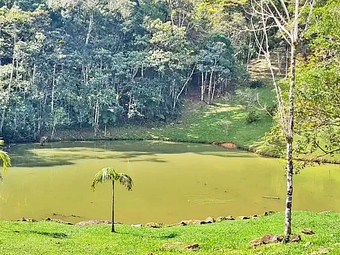 Terreno à Venda, 1.201,77 m² - Santo Amaro da Imperatriz/SC - Foto 9