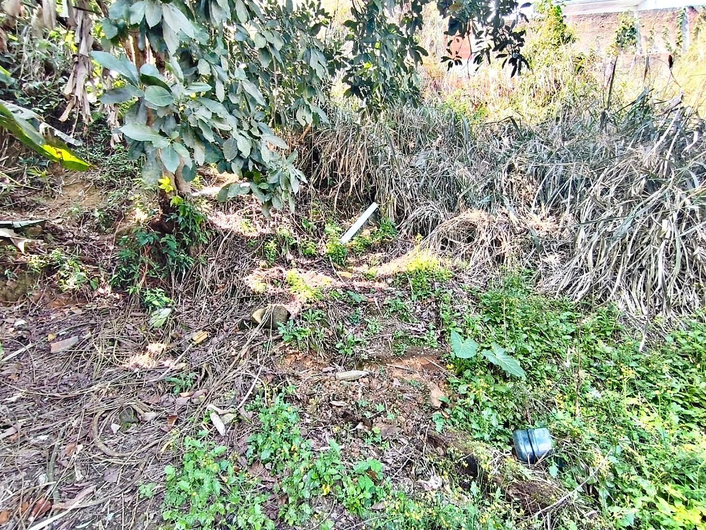 Terreno 8 Pavimentos, 374m² - Passa Vinte - Foto 10