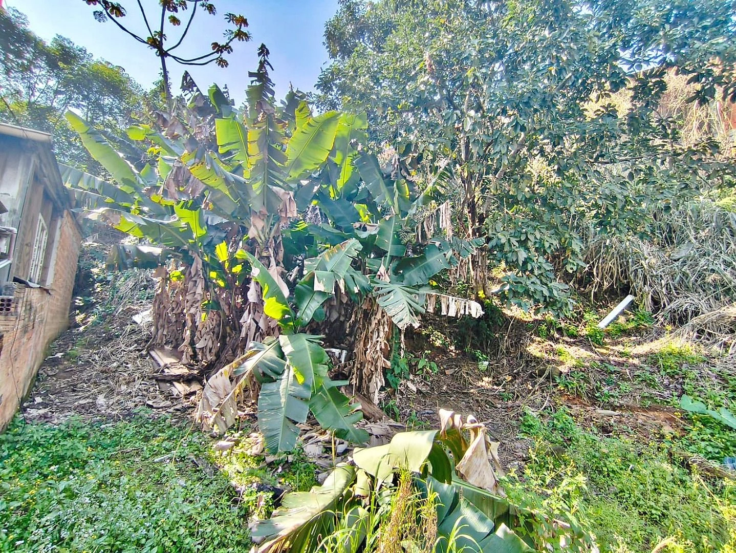 Terreno 8 Pavimentos, 374m² - Passa Vinte - Foto 12