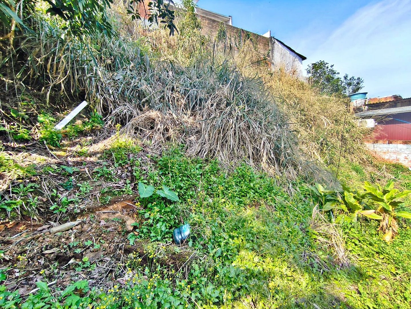 Terreno 8 Pavimentos, 374m² - Passa Vinte - Foto 7