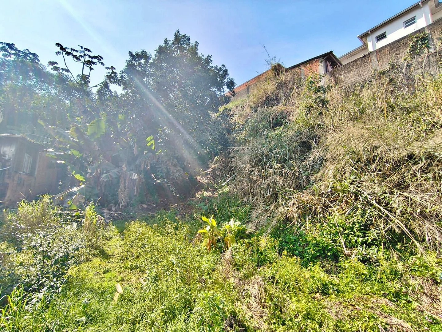 Terreno 8 Pavimentos, 374m² - Passa Vinte - Foto 8
