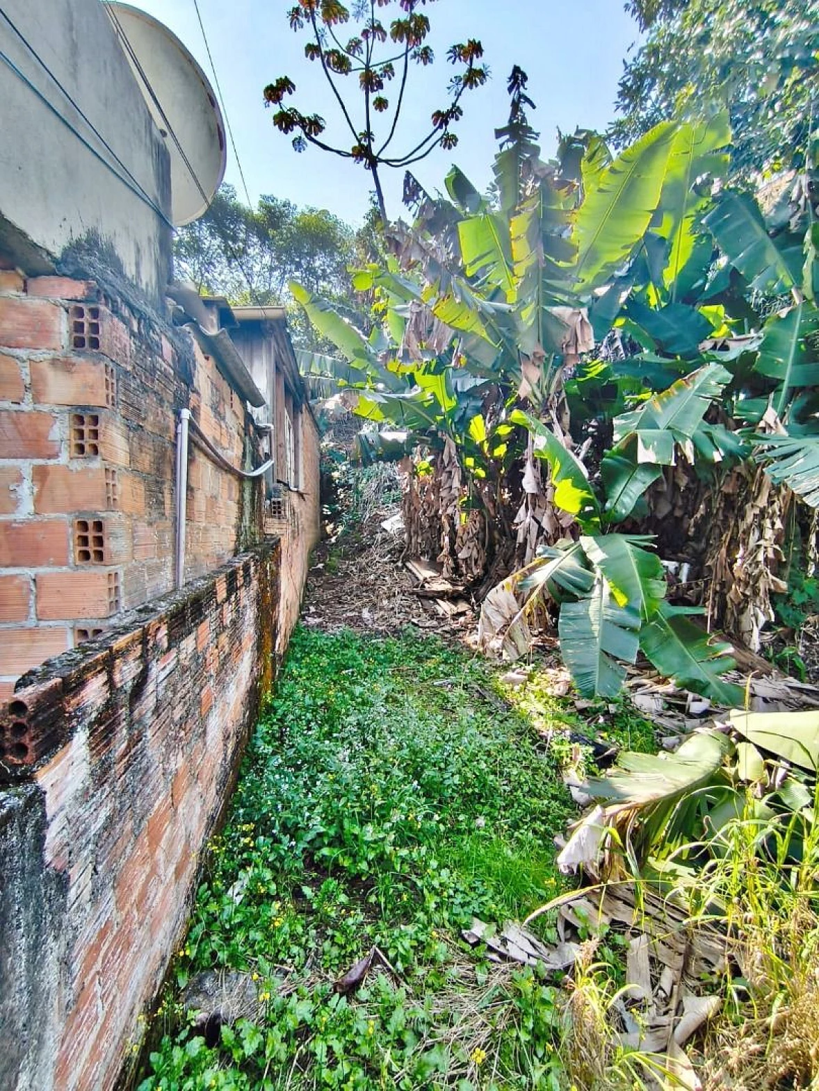 Terreno 8 Pavimentos, 374m² - Passa Vinte - Foto 9