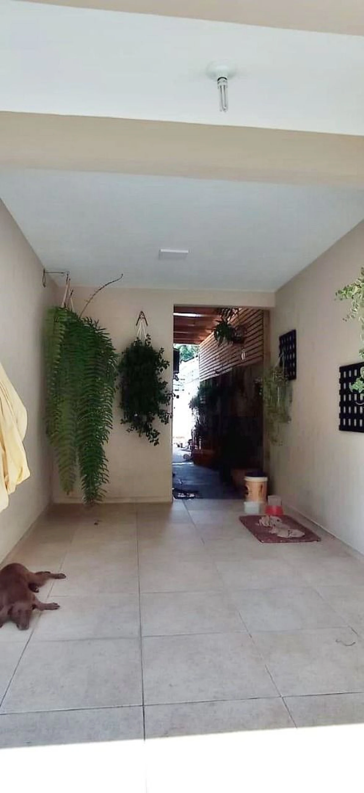 Casa com 3 Dormitórios, Suíte no Lisboa 3 - São José SC - Foto 8