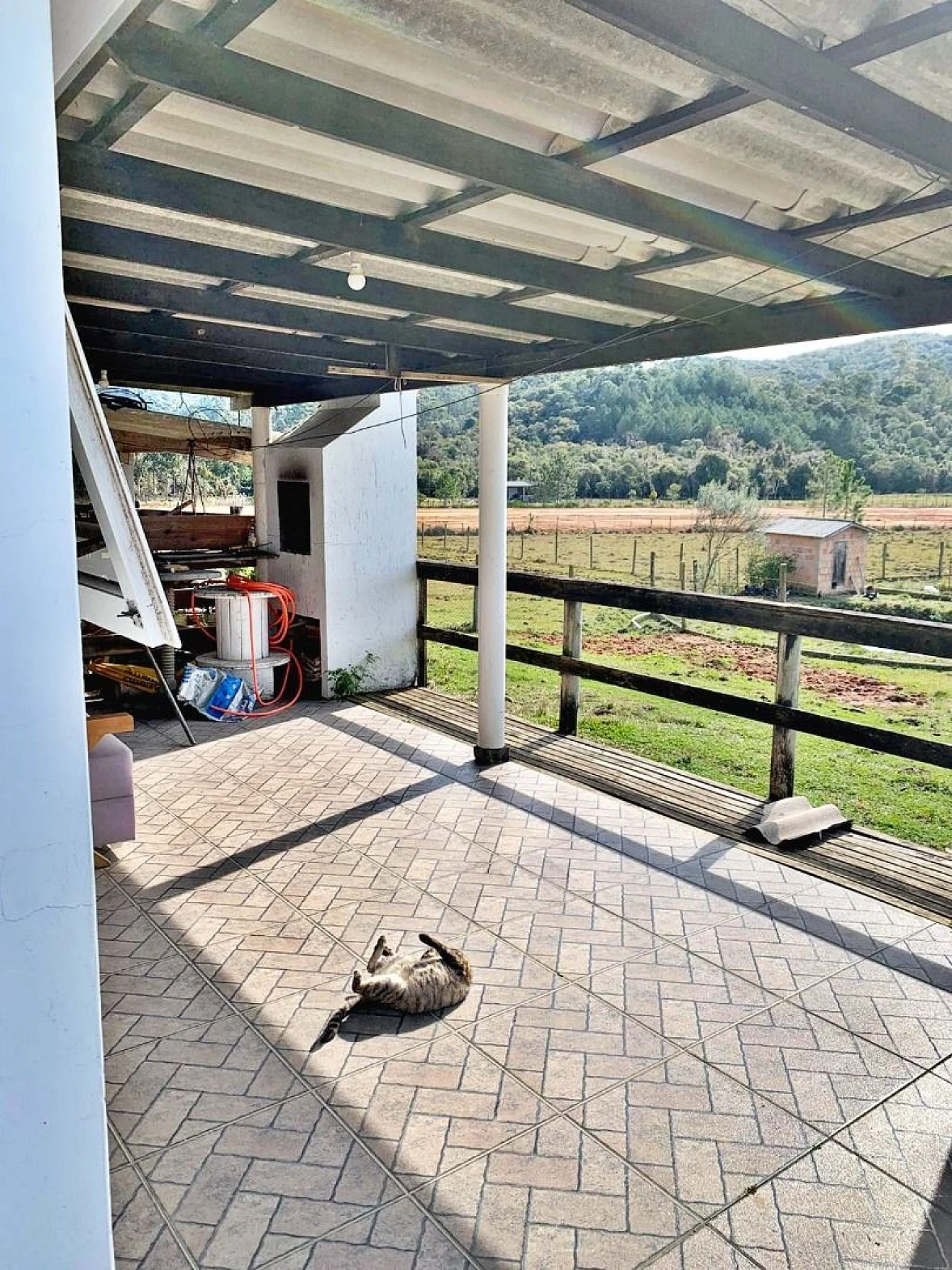 Sítio - Porteira Fechada - São Pedro de Alcântara - Foto 12