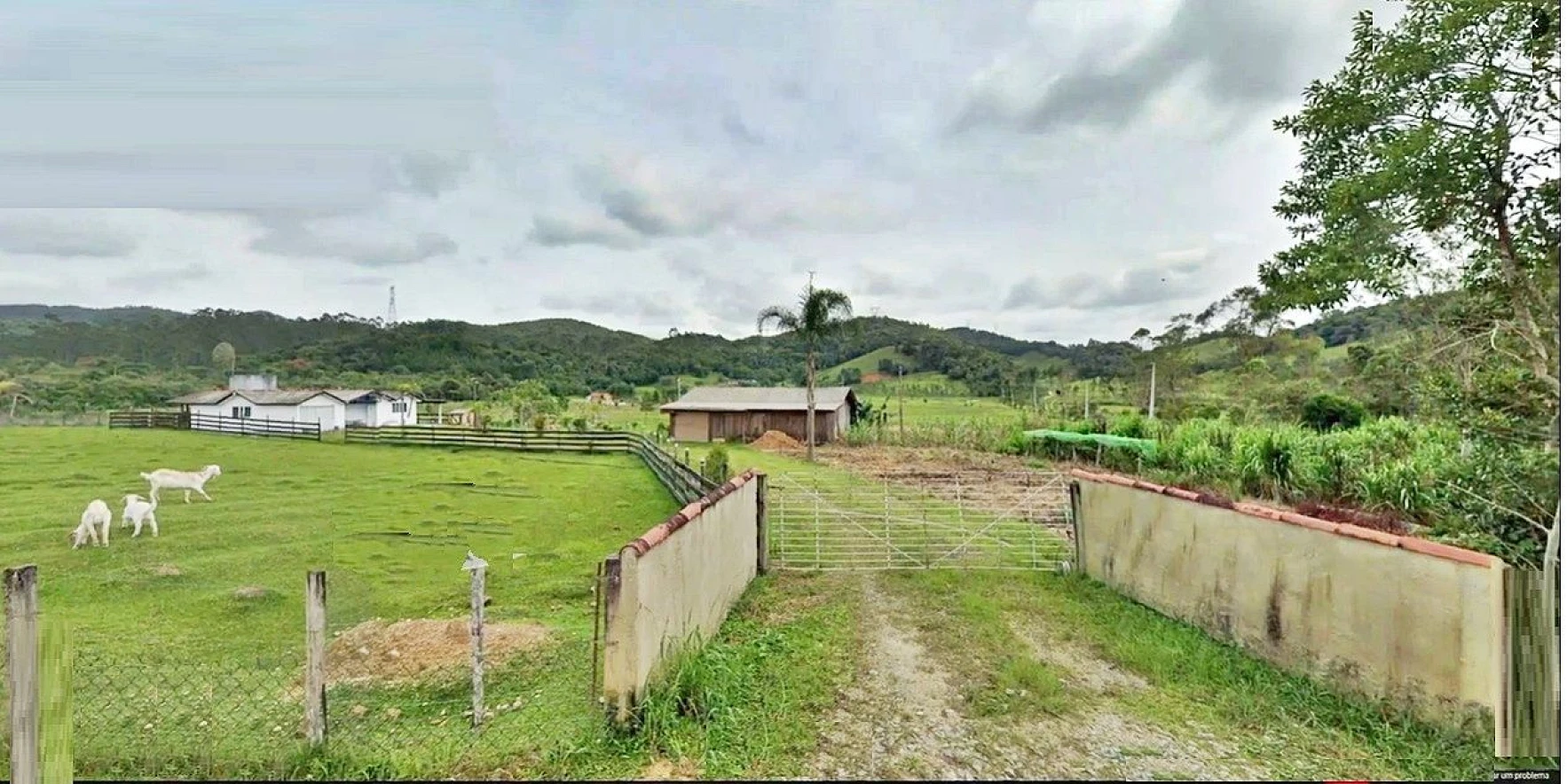 Sítio - Porteira Fechada - São Pedro de Alcântara - Foto 16