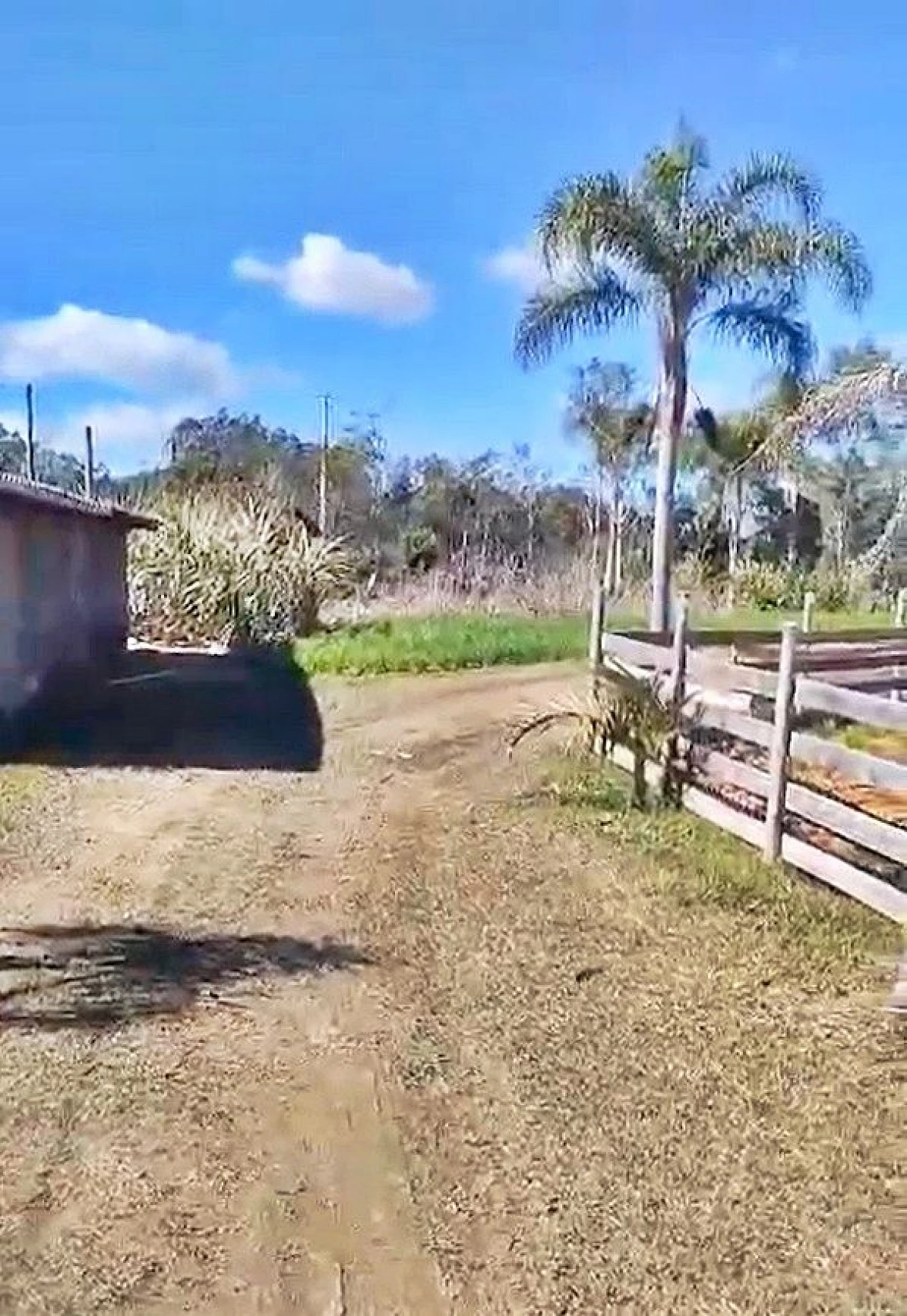 Sítio - Porteira Fechada - São Pedro de Alcântara - Foto 18