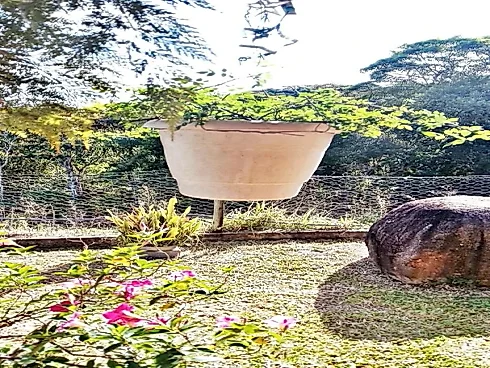Sítio 2000m² Área, Casa 3 Quartos, 1 Suíte - São Pedro de Alcântara - Foto 12