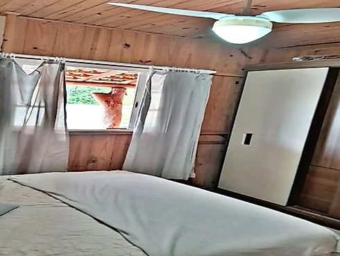 Sítio 2000m² Área, Casa 3 Quartos, 1 Suíte - São Pedro de Alcântara - Foto 6