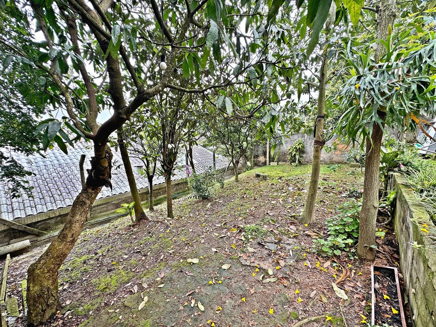 Casa 5 Quartos, 3 Suítes, Lojas - Serraria - Foto 34