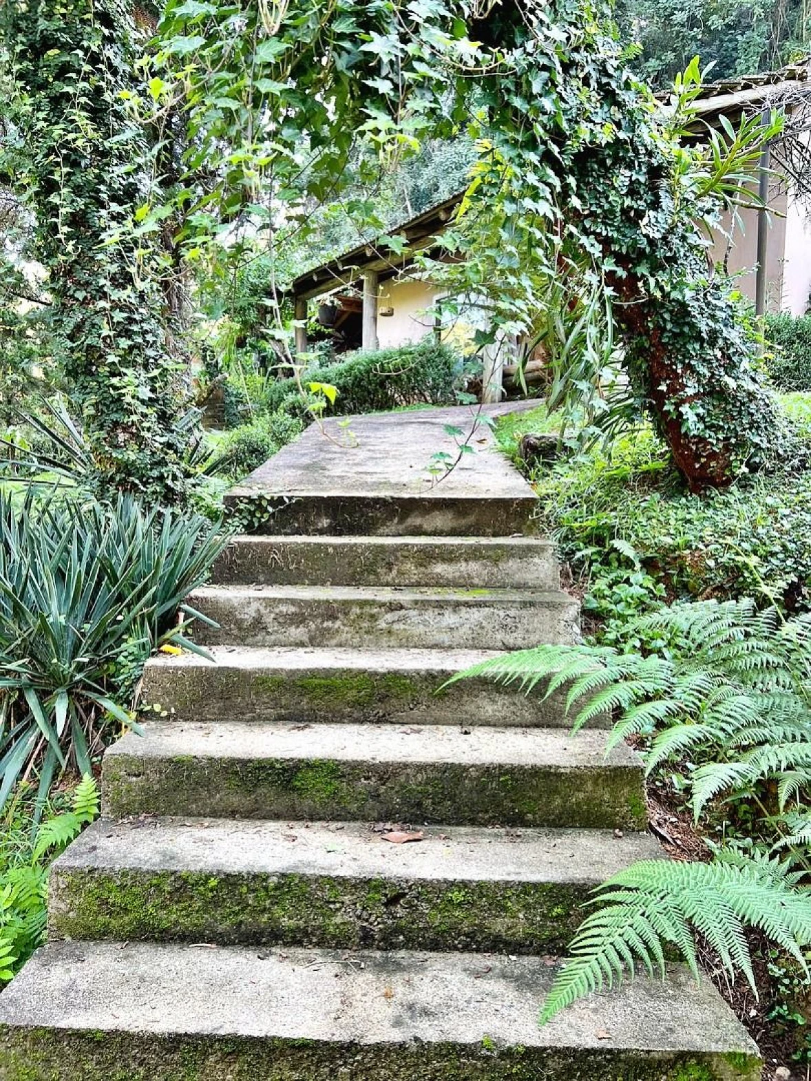 Casa 2 Quartos, 2 Vagas - Águas Mornas - Foto 23