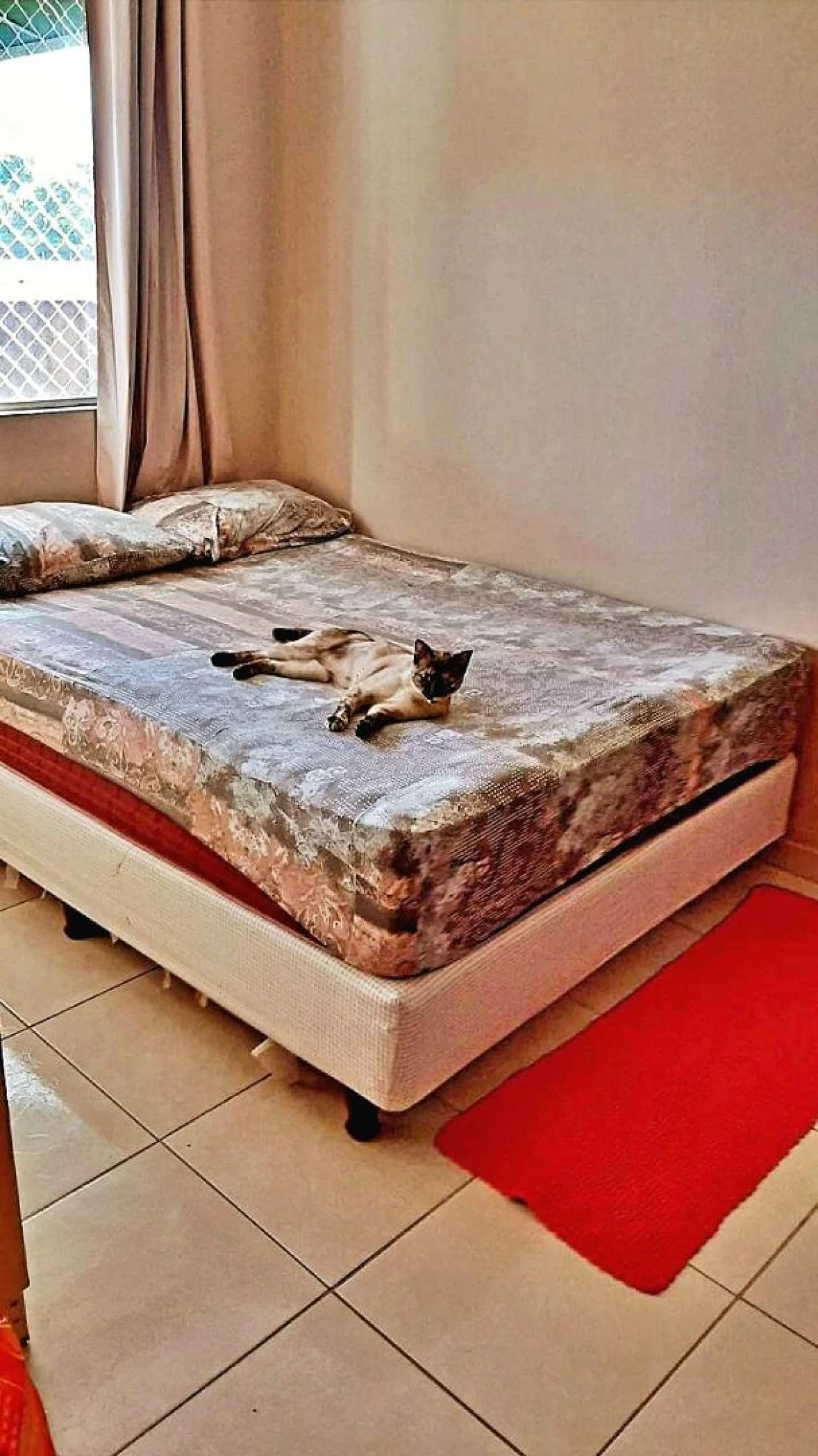 Casa em Nossa Senhora De Lourdes, Santo Amaro da Imperatriz