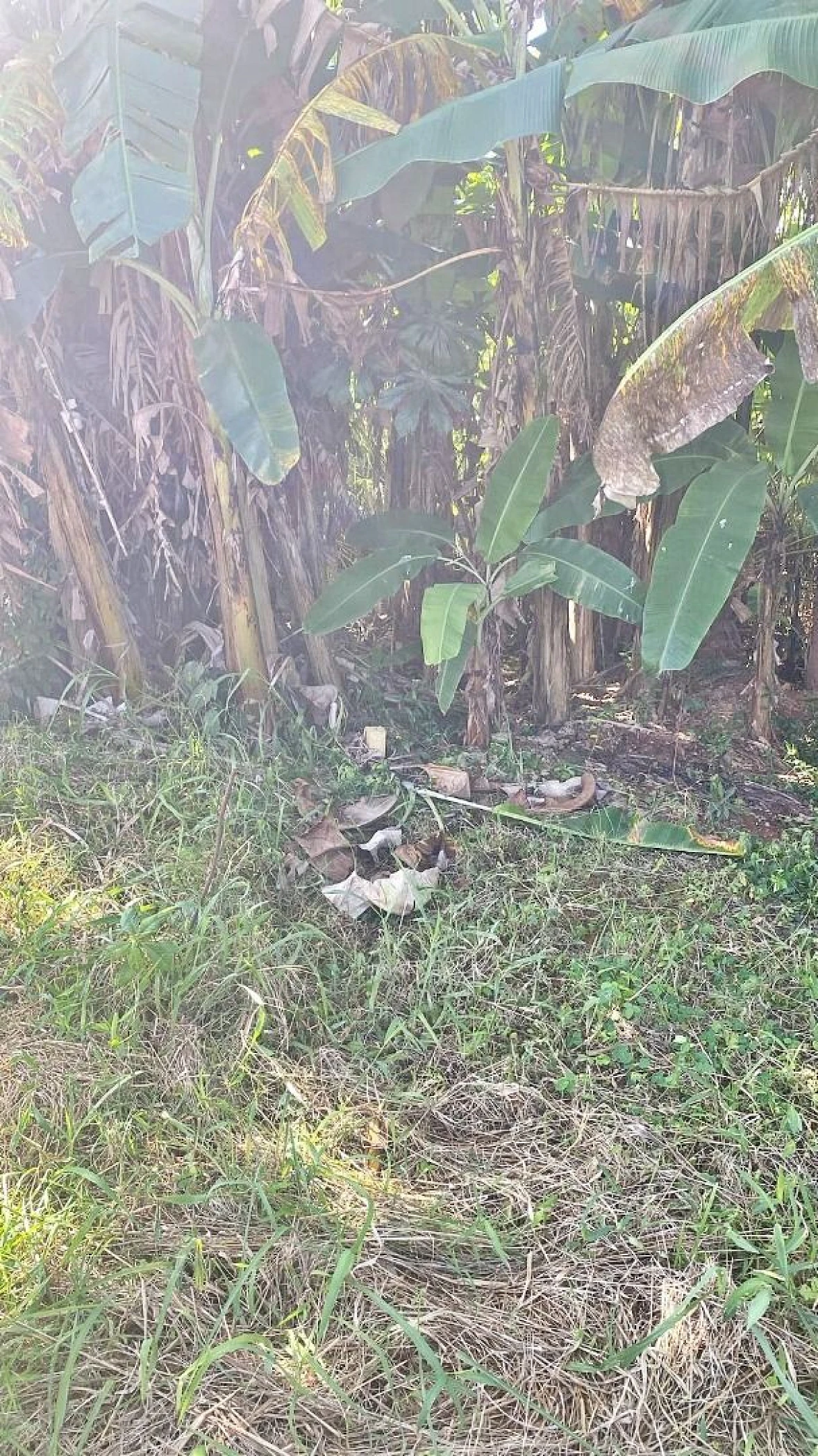 Terreno em Jardim Janaína, Biguaçu