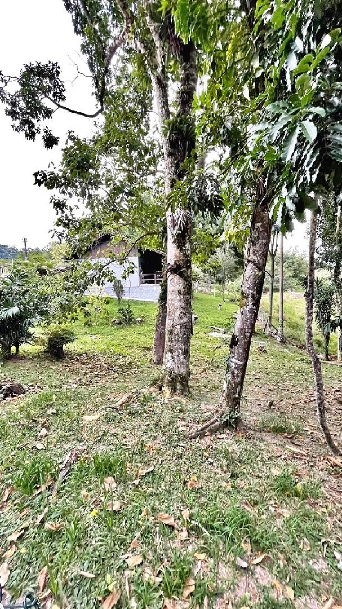 Casa 2 Quartos, 1 Vaga, Terreno 1.500M²  - Santo Amaro Imperatriz - Foto 12