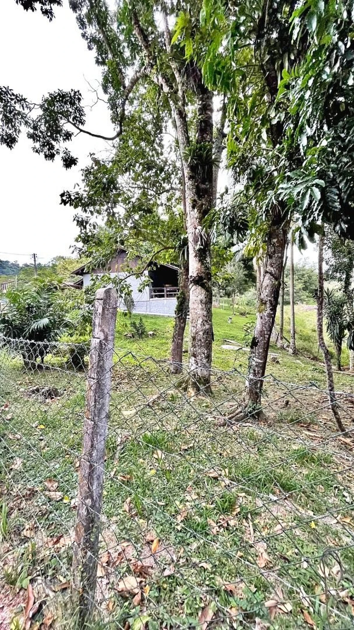 Casa 2 Quartos, 1 Vaga, Terreno 1.500M²  - Santo Amaro Imperatriz - Foto 14