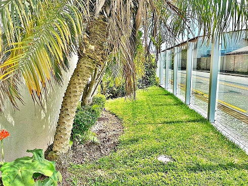 Apartamento 1 Quarto no Residencial Dolomite - Kobrasol - Apartamento em Kobrasol, São José - Foto 1