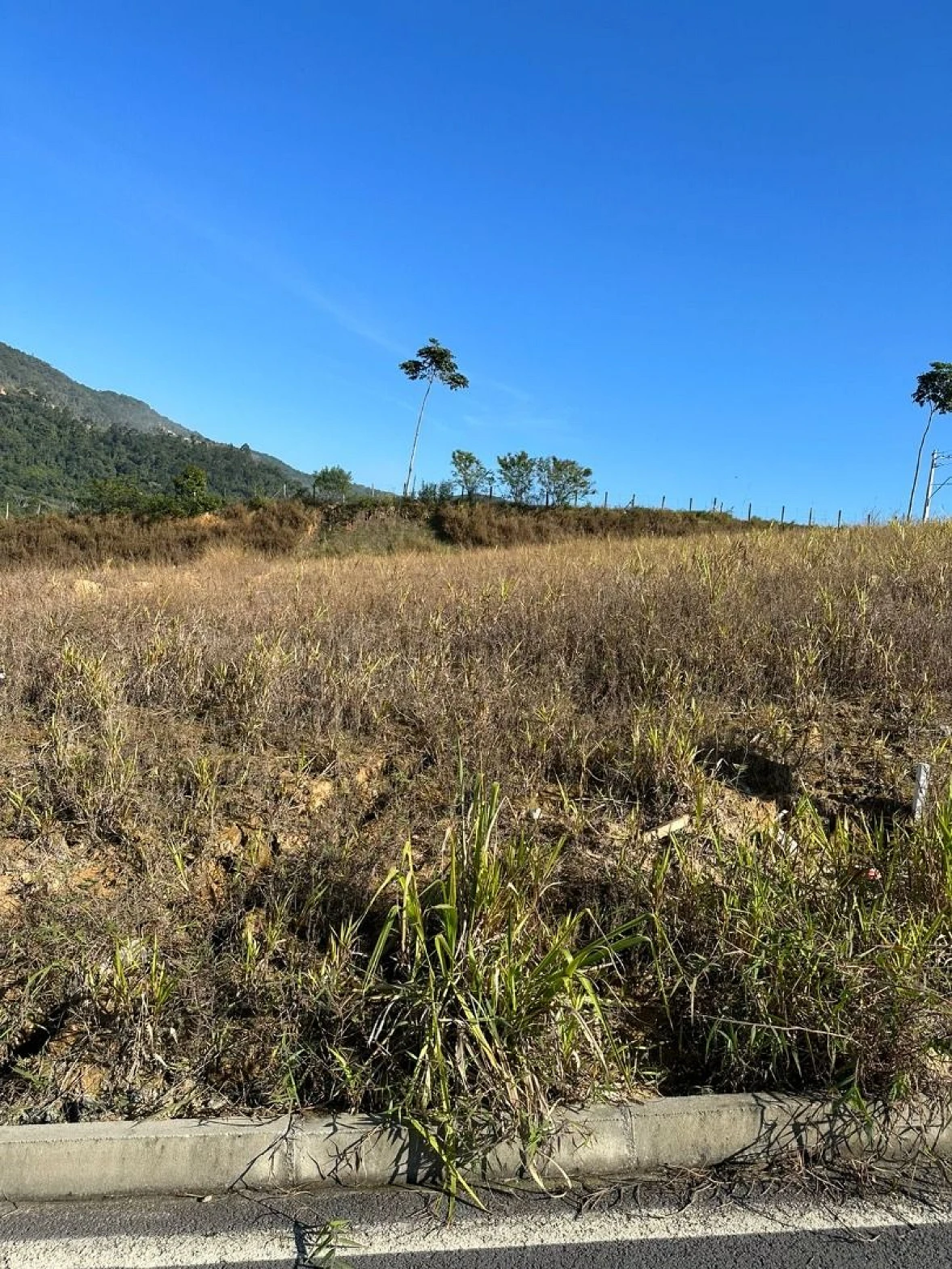 Terreno em Alto Aririu, Palhoça