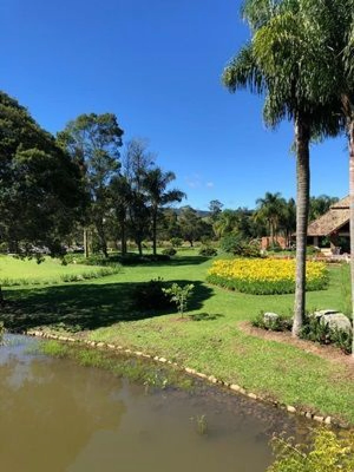 Sobrado 3 Quartos, 2 Suítes, 3 Vagas - Rancho Queimado - Foto 14